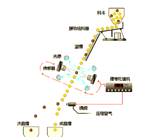 废塑料智能分选系统大揭秘 色选机的工作原理与多样应用